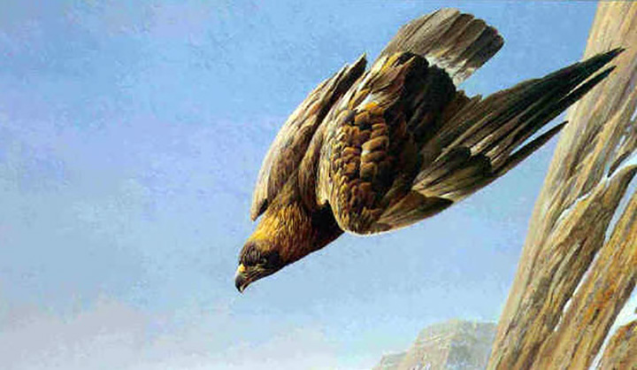 Robert Bateman - Golden Eagle - Limited Edition Lithograph