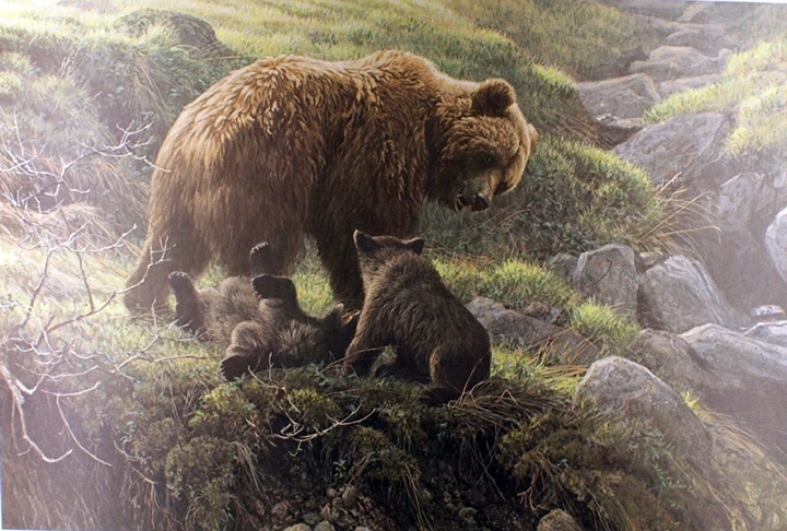 Robert Bateman - Grizzly Bear and Cubs - Limited Edition Lithograph