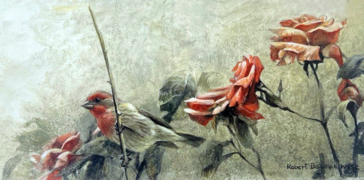 Robert Bateman - House Finch and Roses - Limited Edition Lithograph
