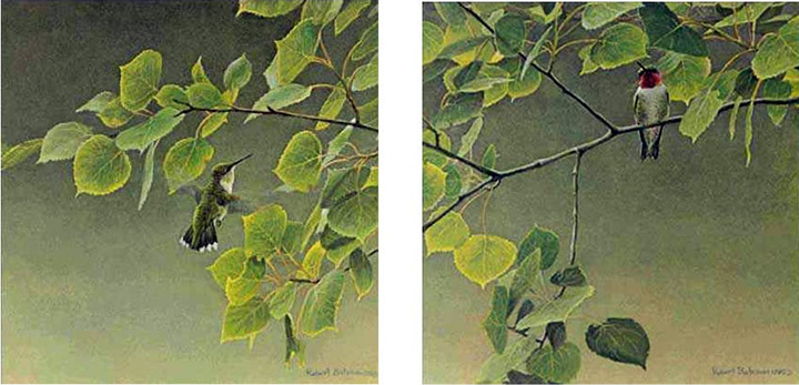 Robert Bateman - Hummingbird Pair - Diptych - Limited Edition Lithograph