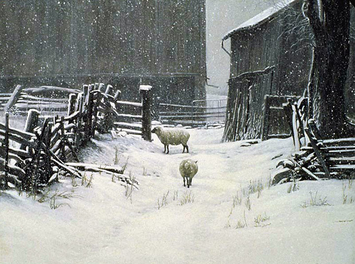Robert Bateman - In for the Evening - Sheep - Limited Edition Lithograph