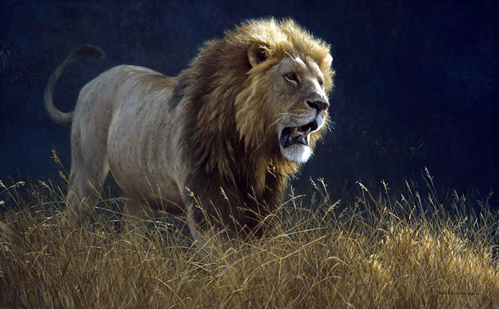 Robert Bateman - Into the Light - Lion - Limited Edition Lithograph