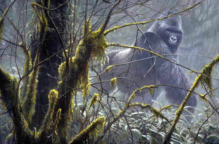 Robert Bateman - Intrusion - Mountain Gorilla - Limited Edition Lithograph