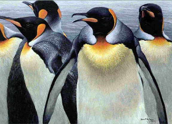 Robert Bateman - King Penguins - Limited Edition Lithograph