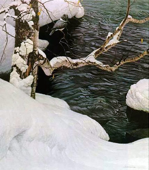 Robert Bateman - Kingfisher in Winter - Limited Edition Lithograph