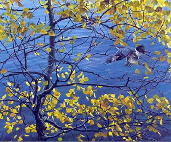 Robert Bateman - Kingfisher and Aspen - Limited Edition Lithograph