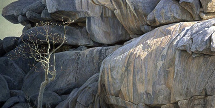 Robert Bateman - Kopje Lookout Leopard - Limited Edition Lithograph