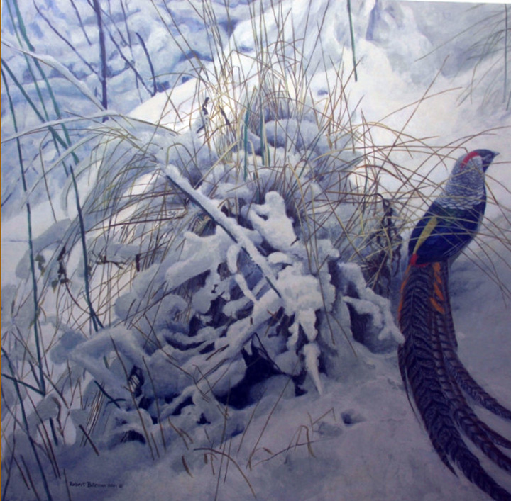 Robert Bateman - Lady Amherst's Pheasant - Limited Edition Lithograph