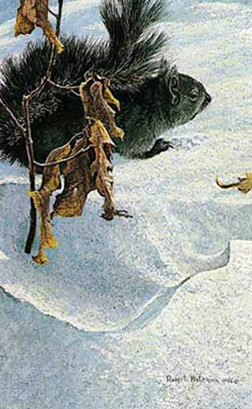 Robert Bateman - Late Winter - Black Squirrel - Limited Edition Lithograph
