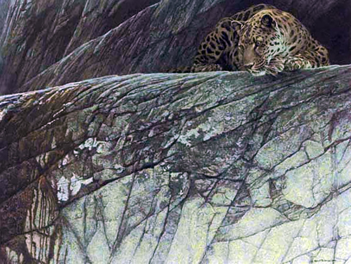 Robert Bateman - Leopard Ambush - Limited Edition Lithograph