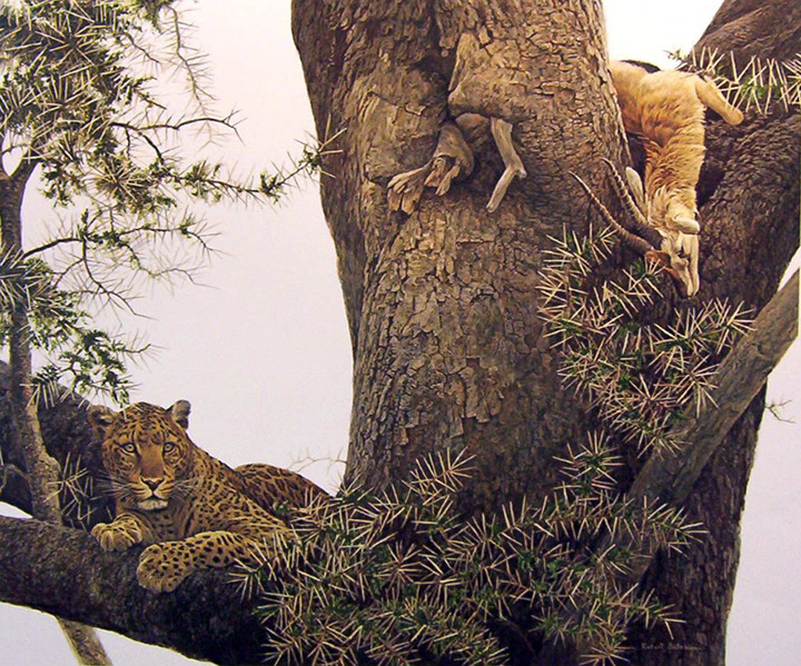Robert Bateman - Leopard and Thompson Gazelle Kill - Limited Edition Lithograph