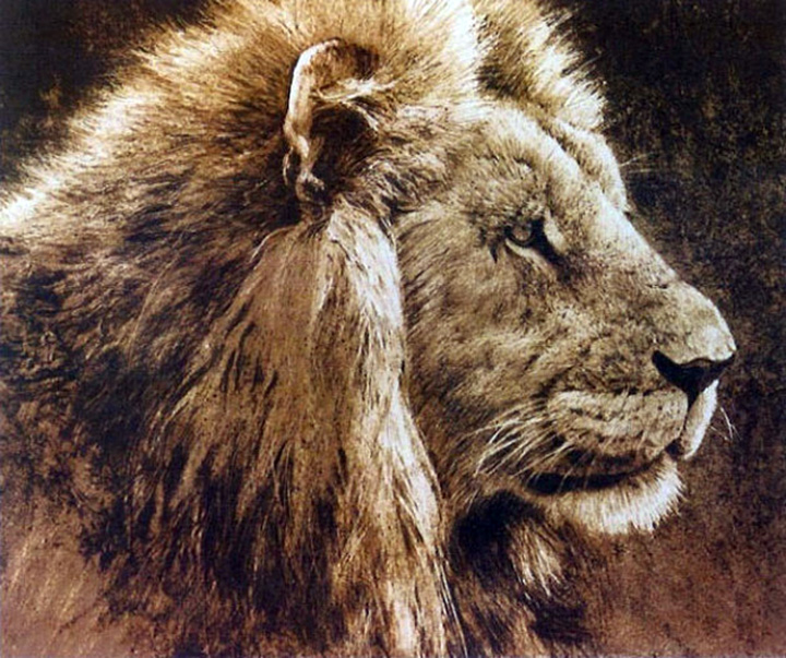 Robert Bateman - Lion Head - Limited Edition Lithograph