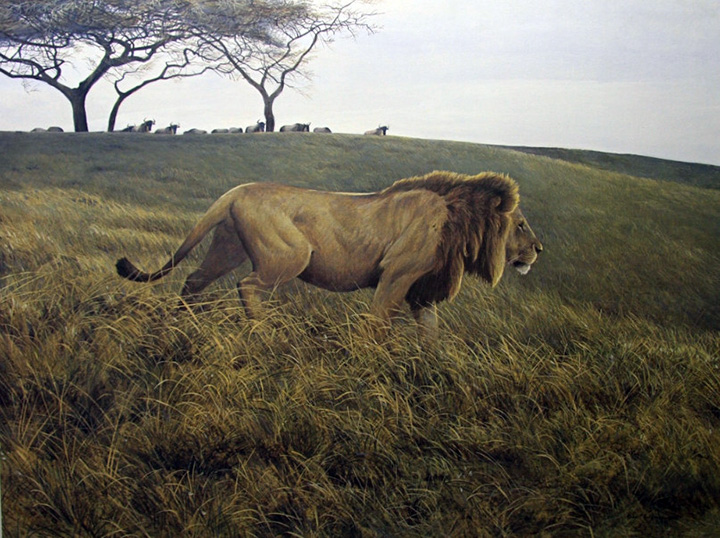 Robert Bateman - Lion and Wildebeest - Limited Edition Lithograph