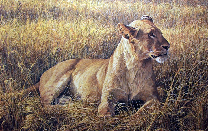 Robert Bateman - Lioness at the Serengeti - Limited Edition Lithograph