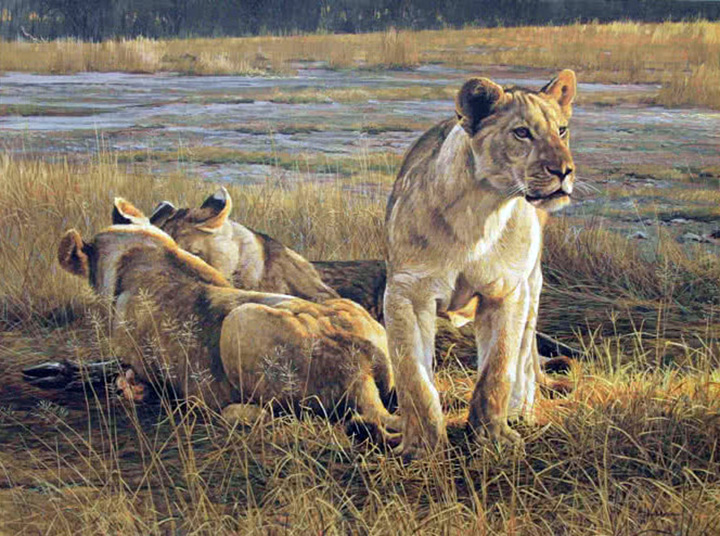 Robert Bateman - Lions at Dawn - Limited Edition Lithograph