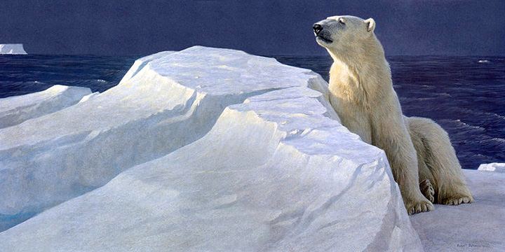 Robert Bateman - Long Light - Polar Bear - Limited Edition Lithograph