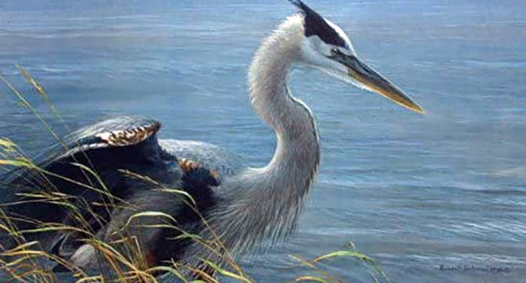 Robert Bateman - Lunging Heron - Limited Edition Lithograph