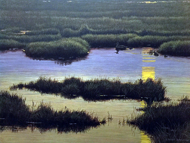 Robert Bateman - Mallard Family at Sunset - Limited Edition Lithograph