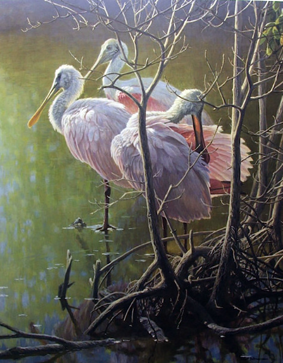 Robert Bateman - Mangrove Morning - Roseate Spoonbills - Limited Edition Lithograph