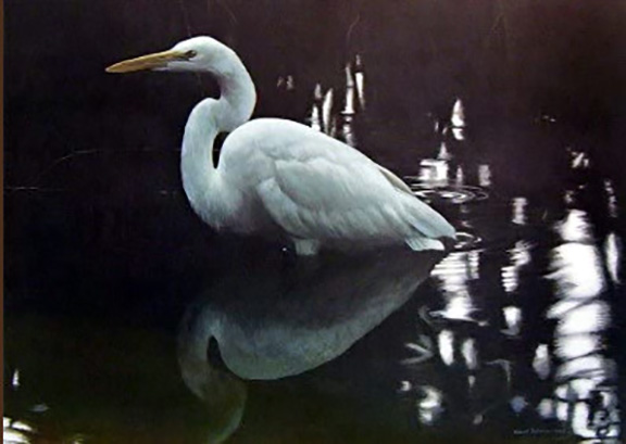 Robert Bateman - Mangrove Shadow - Common Egret - Limited Edition Lithograph