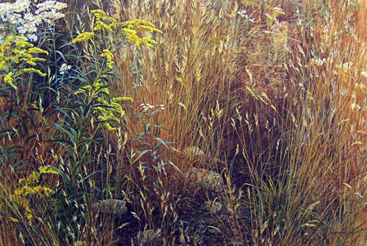 Robert Bateman - Marginal Meadow - Limited Edition Lithograph