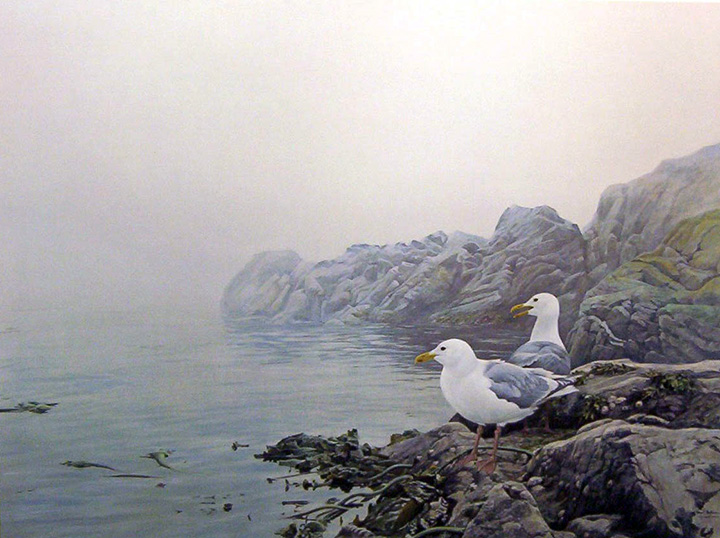 Robert Bateman - Misty Coast - Gulls - Limited Edition Lithograph