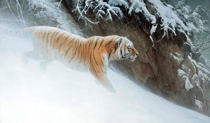 Robert Bateman - Momentum - Siberian Tiger - Limited Edition Lithograph