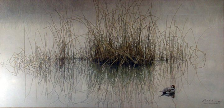 Robert Bateman - Morning Calm - Limited Edition Lithograph