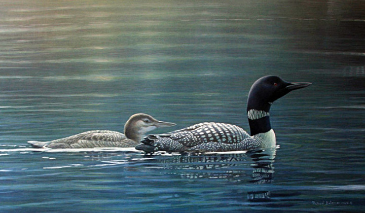 Robert Bateman - Muskoka Lake - Common Loons - Limited Edition Lithograph