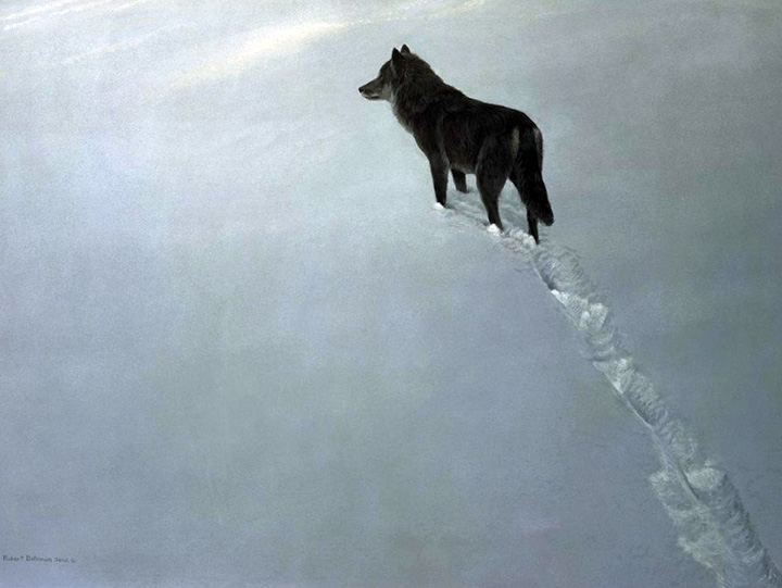 Robert Bateman - New Territory - Black Wolf - Limited Edition Lithograph