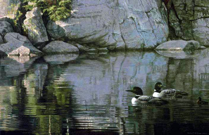 Robert Bateman - Northern Reflections - Loon Family - Limited Edition Lithograph