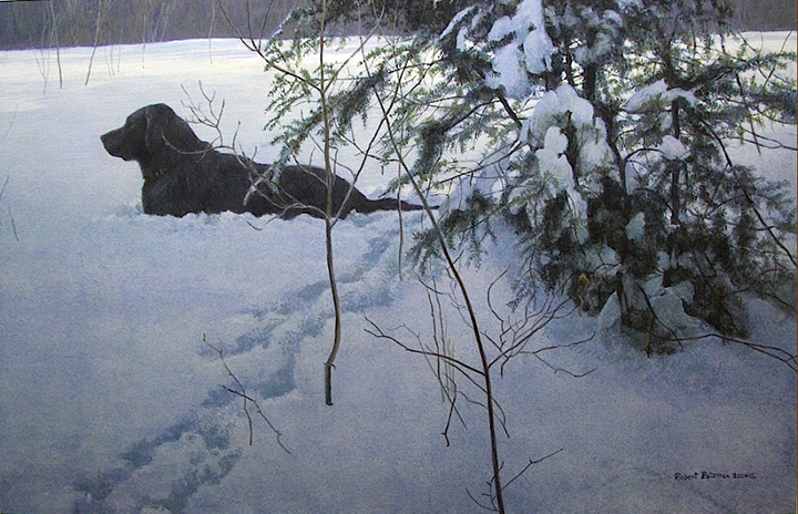 Robert Bateman - Off the Leash - Black Labrador Retriever - Limited Edition Lithograph