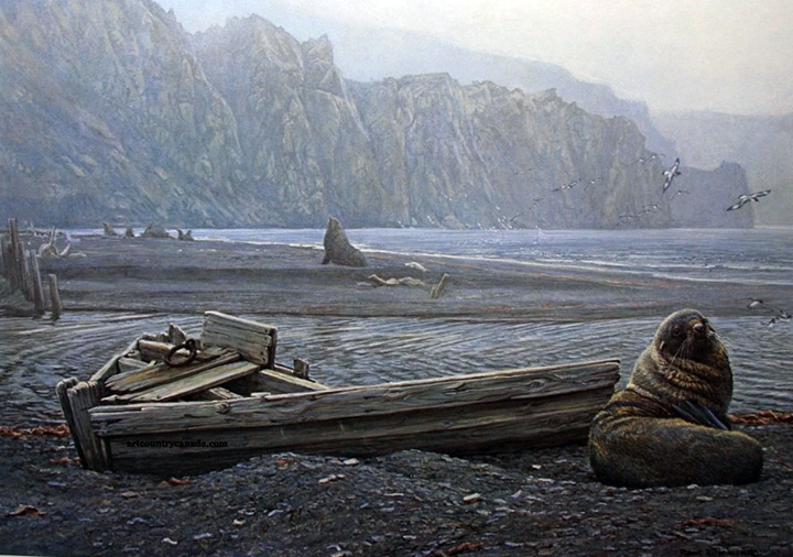 Robert Bateman - Old Whaling Base and Fur Seal - Limited Edition Lithograph