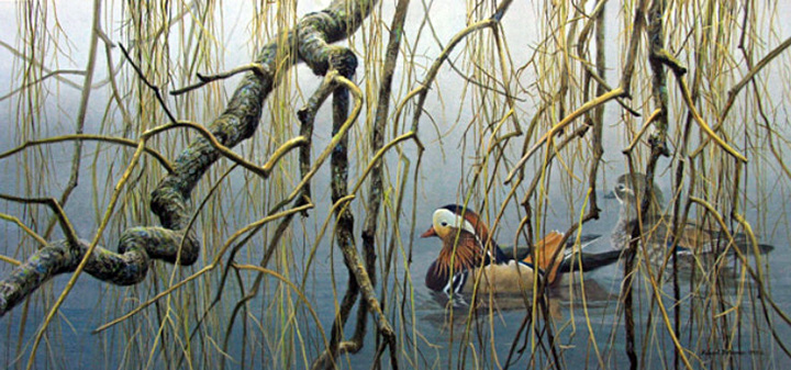 Robert Bateman - Old Willow - Mandarin Pair - Limited Edition Lithograph