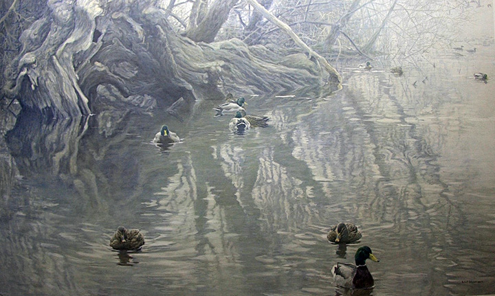 Robert Bateman - Old Willow and Mallards - Limited Edition Lithograph
