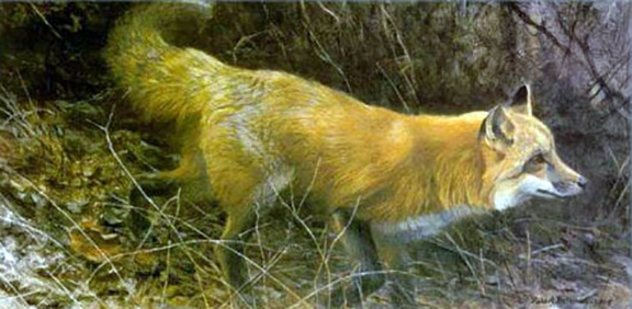 Robert Bateman - On the Move  - Red Fox - Limited Edition Lithograph