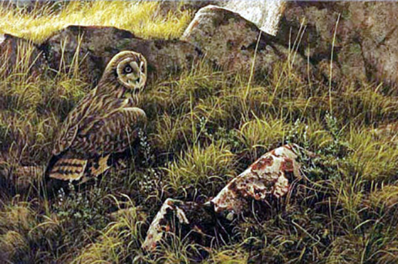 Robert Bateman - Prairie Evening - Short Eared Owl - Limited Edition Lithograph