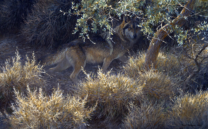 Robert Bateman - Sierra Evening - Mexican Wolf - Limited Edition Lithograph