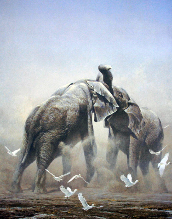 Robert Bateman - Sparring Elephants - Limited Edition Lithograph