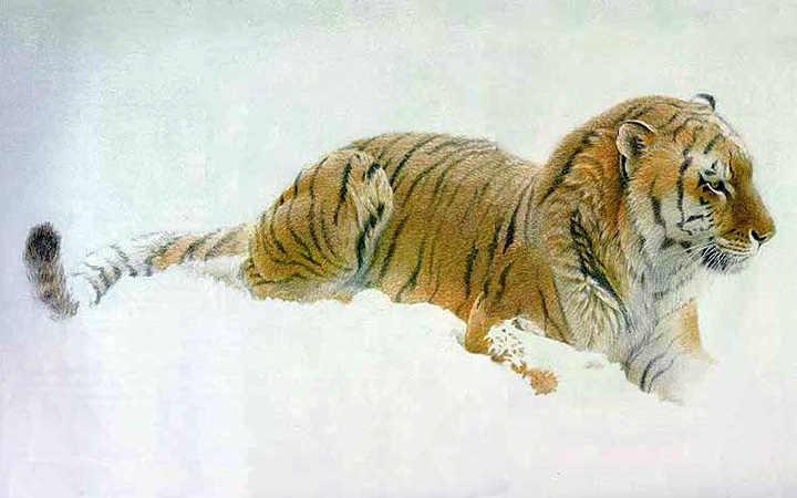 Robert Bateman - Watching - Siberian Tiger - Limited Edition Lithograph
