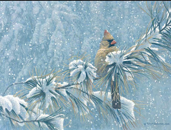 Robert Bateman - Winter Lady - Cardinal - Limited Edition Lithograph