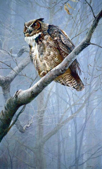 Robert Bateman - Winter Mist - Great Horned Owl - Limited Edition Lithograph