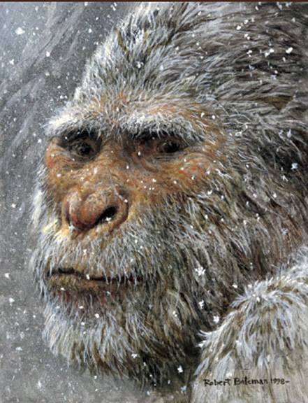 Robert Bateman - Yeti - Limited Edition Lithograph