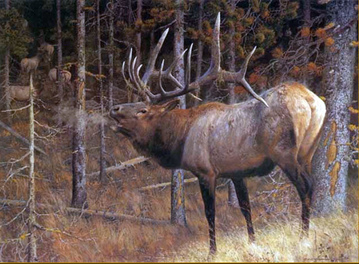 Carl Brenders - A Hunter’s Dream – Wolf - Limited Edition Lithograph