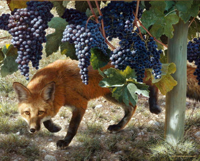 Carl Brenders - Between the Vines – Raccoon - Limited Edition Lithograph