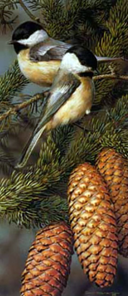 Carl Brenders - Black-Capped Chickadee - Limited Edition Lithograph