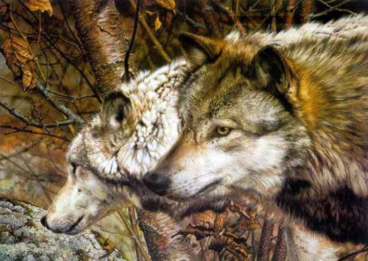 Carl Brenders - Companions – Timber Wolves - Limited Edition Giclee on Canvas
