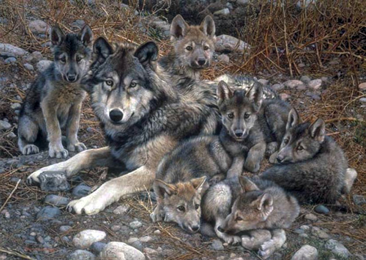 Carl Brenders - Den Mother – Wolf Family - Limited Edition Lithograph