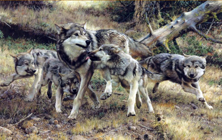 Carl Brenders - Disorderly Conduct - Limited Edition Lithograph