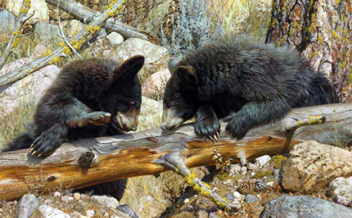 Carl Brenders - Double Dare – Black Bears - Limited Edition Lithograph